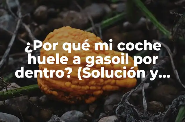 ¿por Qué Mi Coche Huele a Gasoil por Dentro? (solución y Explicación)