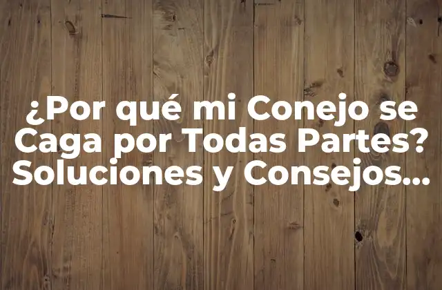 ¿por Qué Mi Conejo Se Caga por Todas Partes? Soluciones y Consejos para Combatir la Incontinencia en Conejos