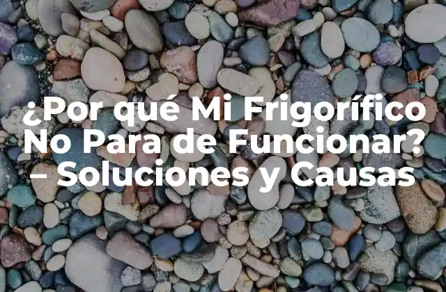 ¿por Qué Mi Frigorífico No para de Funcionar? – Soluciones y Causas