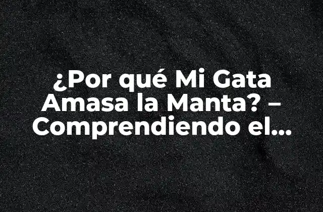 ¿por Qué Mi Gata Amasa la Manta? – Comprendiendo el Comportamiento Felino