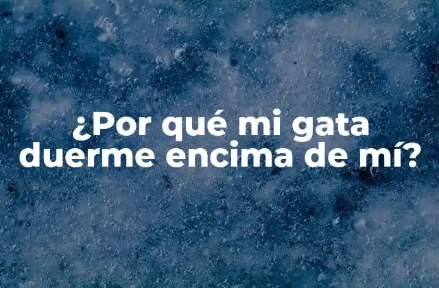 La importancia de la temperatura corporal en los gatos