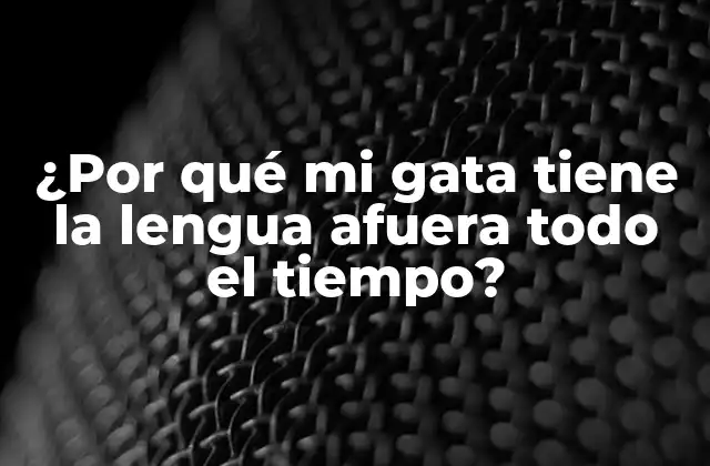 ¿por Qué Mi Gata Tiene la Lengua Afuera Todo el Tiempo?