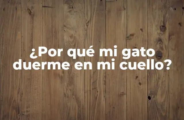 ¿por Qué Mi Gato Duerme en Mi Cuello?