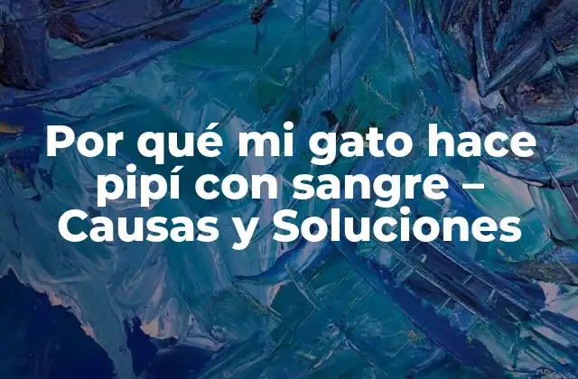 Por Qué Mi Gato Hace Pipí con Sangre – Causas y Soluciones