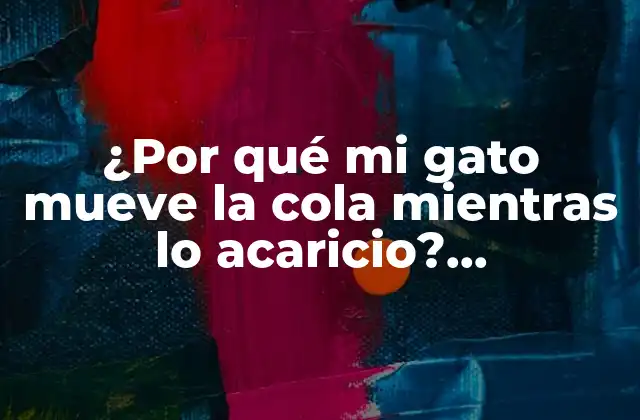 ¿por Qué Mi Gato Mueve la Cola Mientras Lo Acaricio? Comprender el Lenguaje Corporal Felino