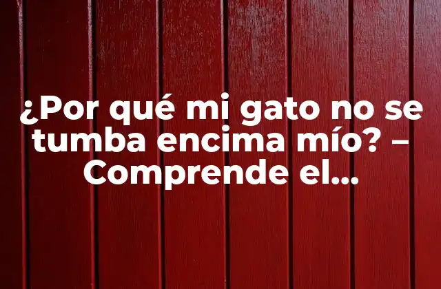 ¿por Qué Mi Gato No Se Tumba Encima Mío? – Comprende el Comportamiento de Tu Gato