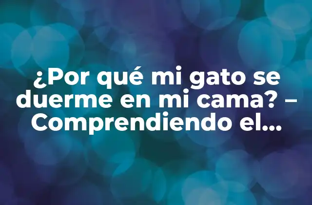 ¿por Qué Mi Gato Se Duerme en Mi Cama? – Comprendiendo el Comportamiento Felineso