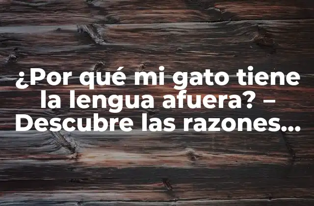 ¿por Qué Mi Gato Tiene la Lengua Afuera? – Descubre las Razones Detrás de Este Comportamiento Felino