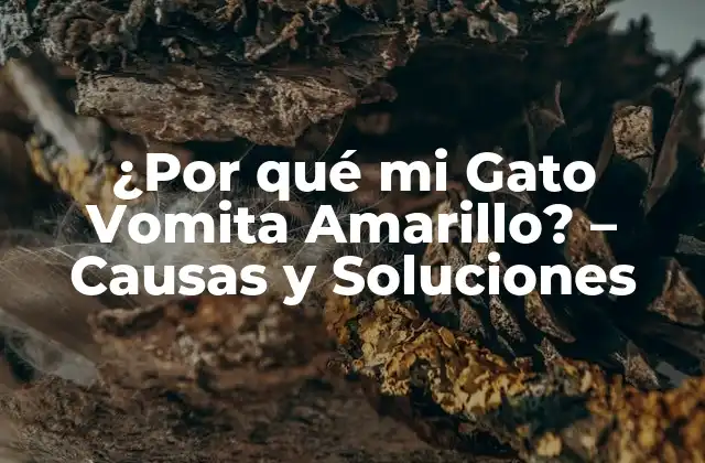¿por Qué Mi Gato Vomita Amarillo? – Causas y Soluciones