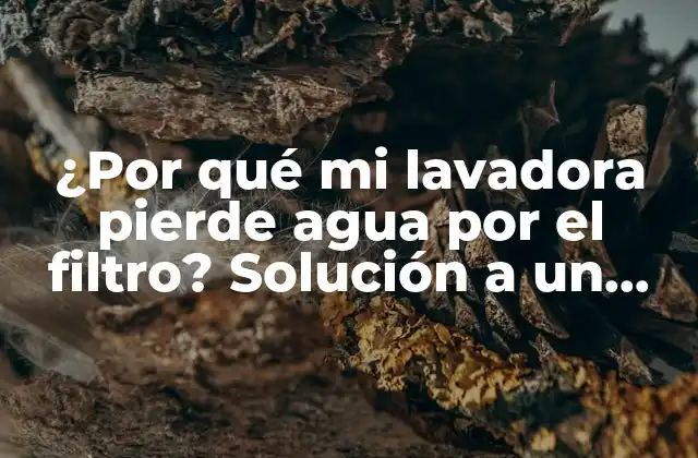 ¿por Qué Mi Lavadora Pierde Agua por el Filtro? Solución a un Problema Común