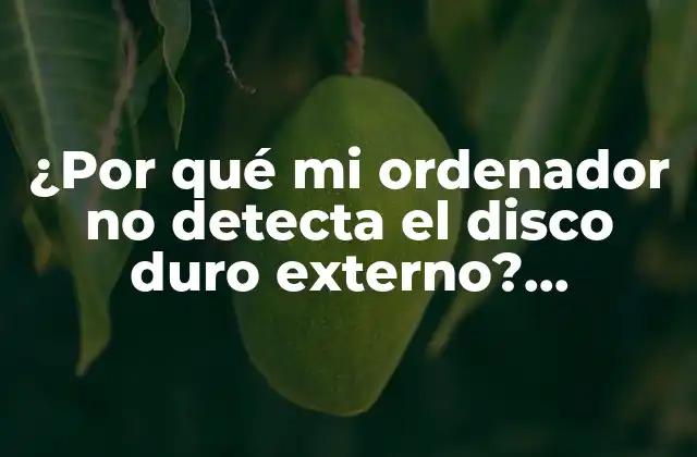 ¿por Qué Mi Ordenador No Detecta el Disco Duro Externo? Soluciones y Consejos