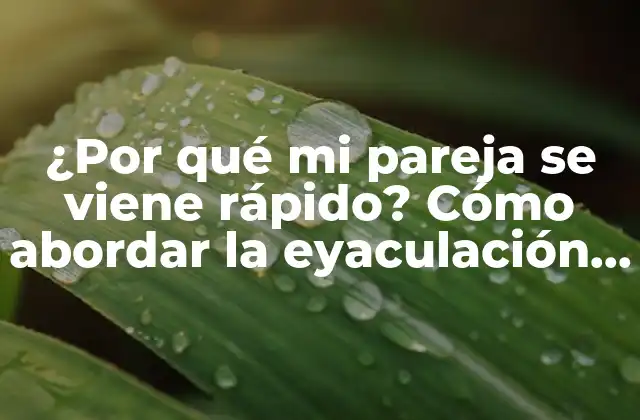 ¿por Qué Mi Pareja Se Viene Rápido? Cómo Abordar la Eyaculación Precoz