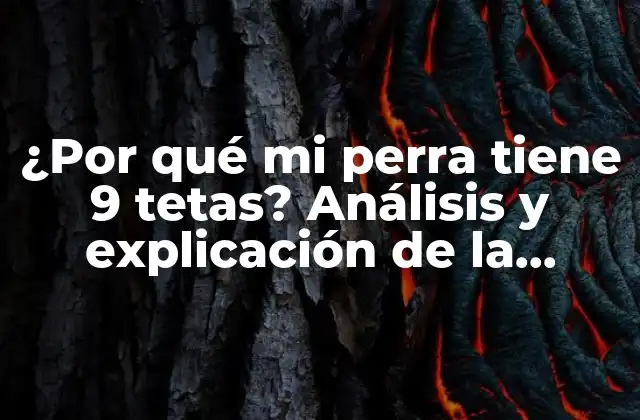 ¿por Qué Mi Perra Tiene 9 Tetas? Análisis y Explicación de la Anatomía Canina
