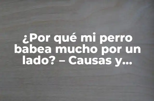 ¿por Qué Mi Perro Babea Mucho por un Lado? – Causas y Soluciones para la Babeada Excesiva en Perros
