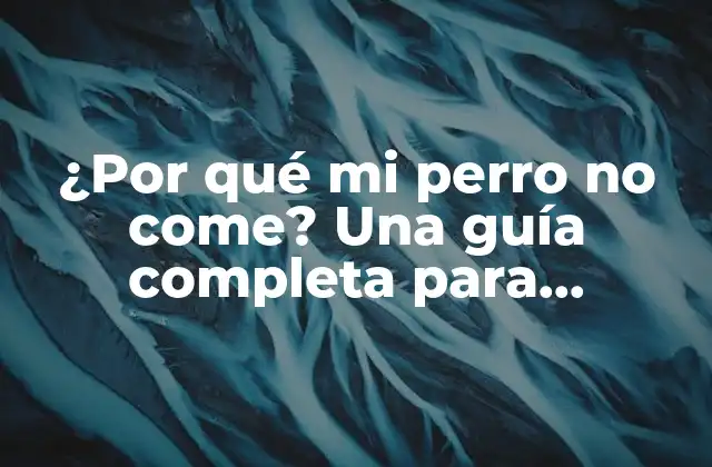 ¿por Qué Mi Perro No Come? una Guía Completa para Identificar y Solucionar el Problema