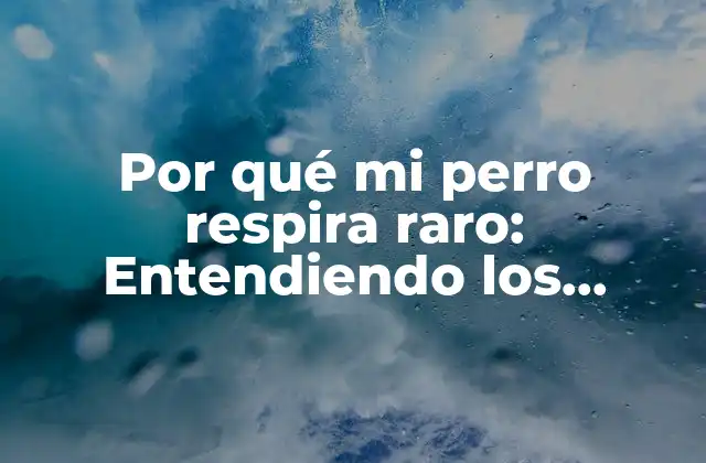 Por Qué Mi Perro Respira Raro: Entendiendo los Problemas Respiratorios en Caninos