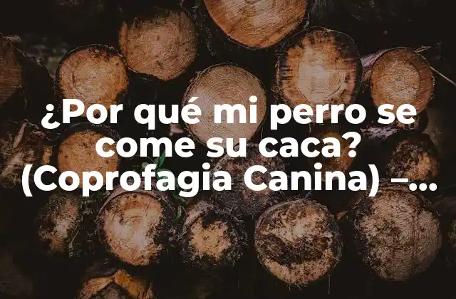 ¿por Qué Mi Perro Se Come Su Caca? (coprofagia Canina) – Soluciones y Causas