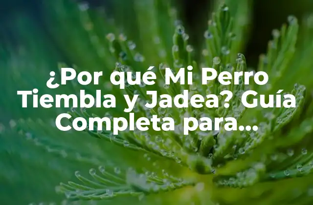 ¿por Qué Mi Perro Tiembla y Jadea? Guía Completa para Identificar y Solucionar
