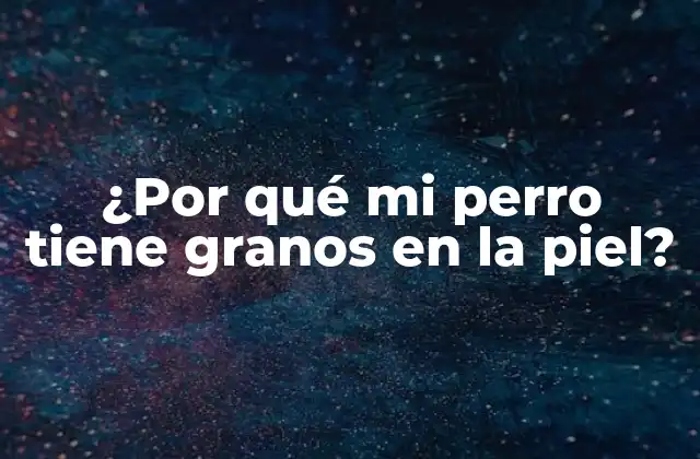 ¿por Qué Mi Perro Tiene Granos en la Piel?