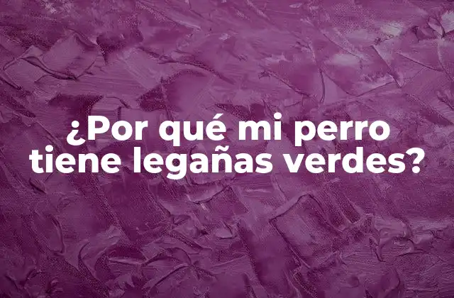¿por Qué Mi Perro Tiene Legañas Verdes?