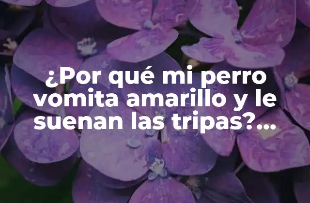 ¿por Qué Mi Perro Vomita Amarillo y Le Suenan las Tripas? ¡descubre las Causas y Soluciones!