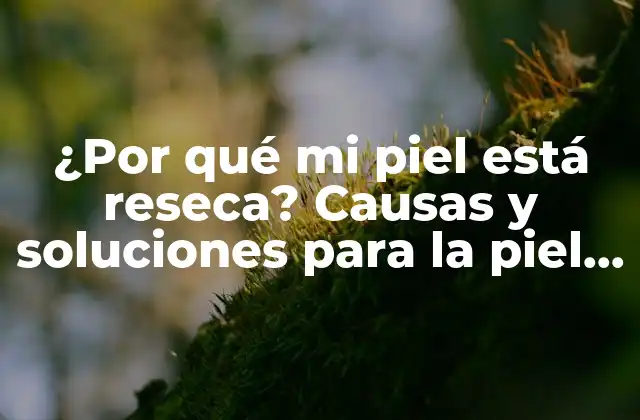 ¿por Qué Mi Piel Está Reseca? Causas y Soluciones para la Piel Seca