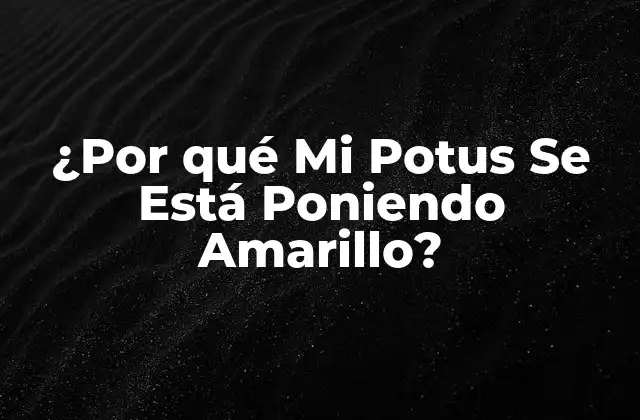 ¿por Qué Mi Potus Se Está Poniendo Amarillo?