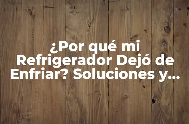 ¿por Qué Mi Refrigerador Dejó de Enfriar? Soluciones y Causas Comunes