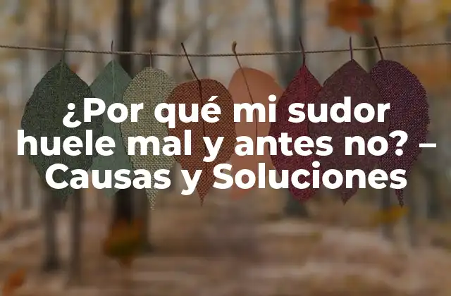 ¿por Qué Mi Sudor Huele Mal y Antes No? – Causas y Soluciones