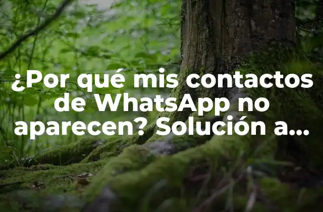 ¿por Qué Mis Contactos de Whatsapp No Aparecen? Solución a un Problema Común