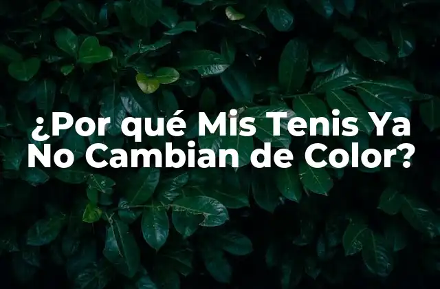¿por Qué Mis Tenis Ya No Cambian de Color?