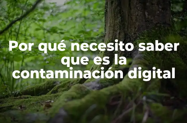 Por Qué Necesito Saber que es la Contaminación Digital