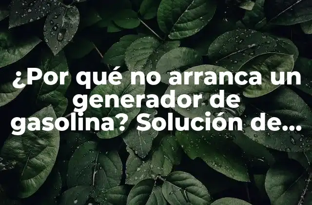 ¿por Qué No Arranca un Generador de Gasolina? Solución de Problemas y Mantenimiento