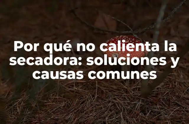 Por Qué No Calienta la Secadora: Soluciones y Causas Comunes