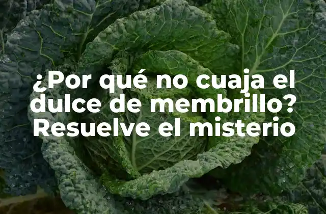¿por Qué No Cuaja el Dulce de Membrillo? Resuelve el Misterio