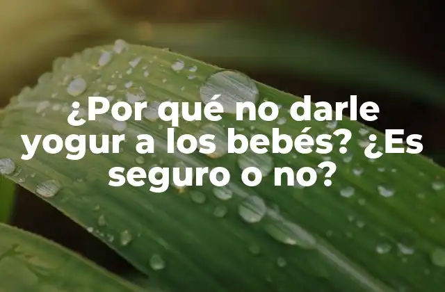 ¿por Qué No Darle Yogur a los Bebés? ¿es Seguro o No?