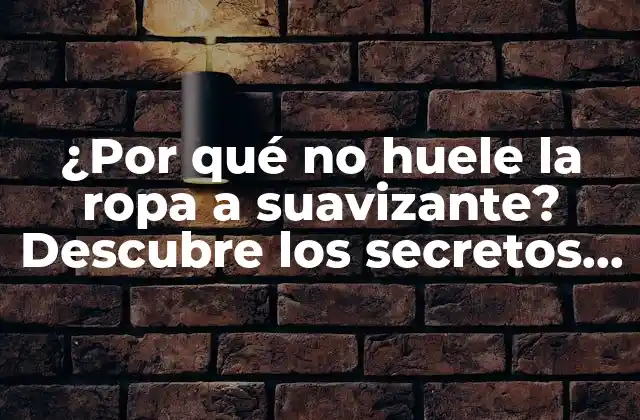 ¿por Qué No Huele la Ropa a Suavizante? Descubre los Secretos Detrás de la Falta de Aroma