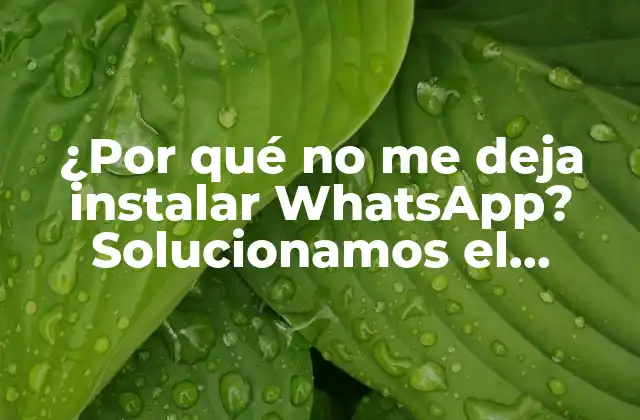 ¿por Qué No Me Deja Instalar Whatsapp? Solucionamos el Problema