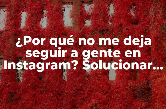 ¿por Qué No Me Deja Seguir a Gente en Instagram? Solucionar el Problema