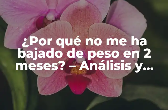 ¿por Qué No Me Ha Bajado de Peso en 2 Meses? – Análisis y Soluciones