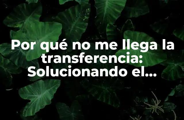 Por Qué No Me Llega la Transferencia: Solucionando el Misterio