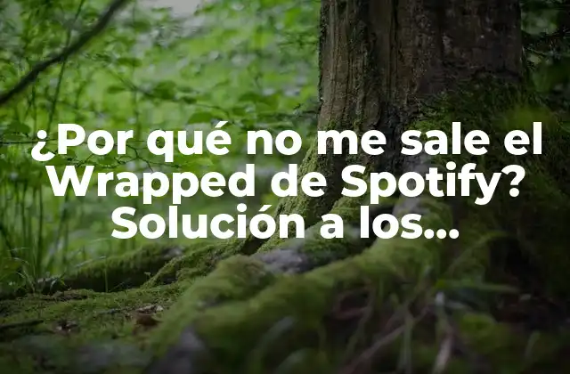 ¿por Qué No Me Sale el Wrapped de Spotify? Solución a los Problemas Más Comunes