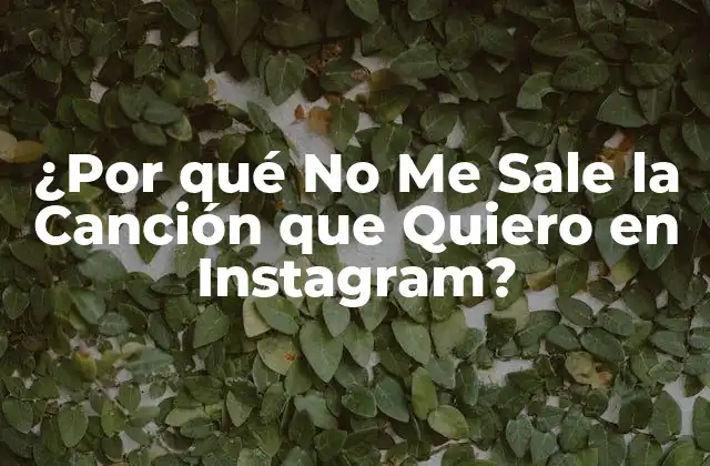 ¿por Qué No Me Sale la Canción que Quiero en Instagram?
