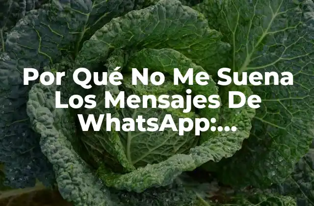 Por Qué No Me Suena los Mensajes de Whatsapp: Solucionando el Problema