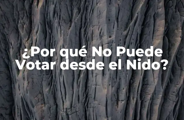 ¿por Qué No Puede Votar desde el Nido?