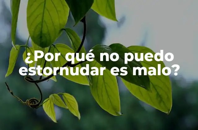 ¿por Qué No Puedo Estornudar es Malo?