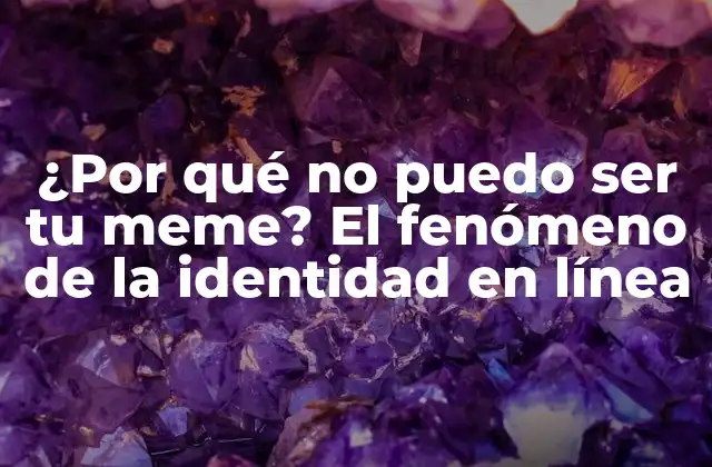 ¿por Qué No Puedo Ser Tu Meme? el Fenómeno de la Identidad en Línea