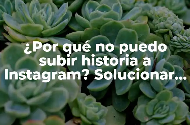 ¿por Qué No Puedo Subir Historia a Instagram? Solucionar Problemas de Carga de Historias en Instagram