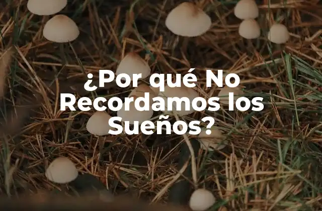 ¿por Qué No Recordamos los Sueños? 2 ¿Qué son los Sueños?