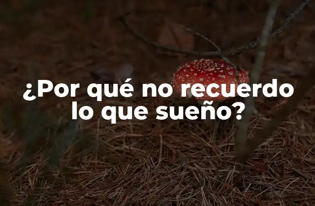 La fase de sueño y la memoria